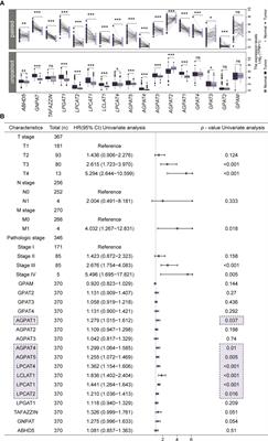 The prognostic value of the GPAT/AGPAT gene family in hepatocellular carcinoma and its role in the tumor immune microenvironment